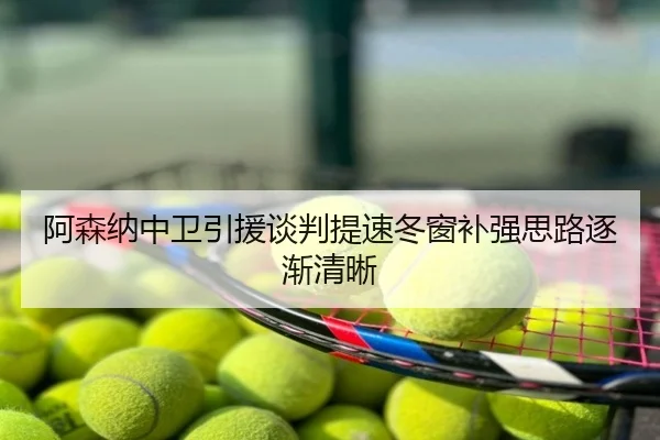 阿森纳中卫引援谈判提速冬窗补强思路逐渐清晰